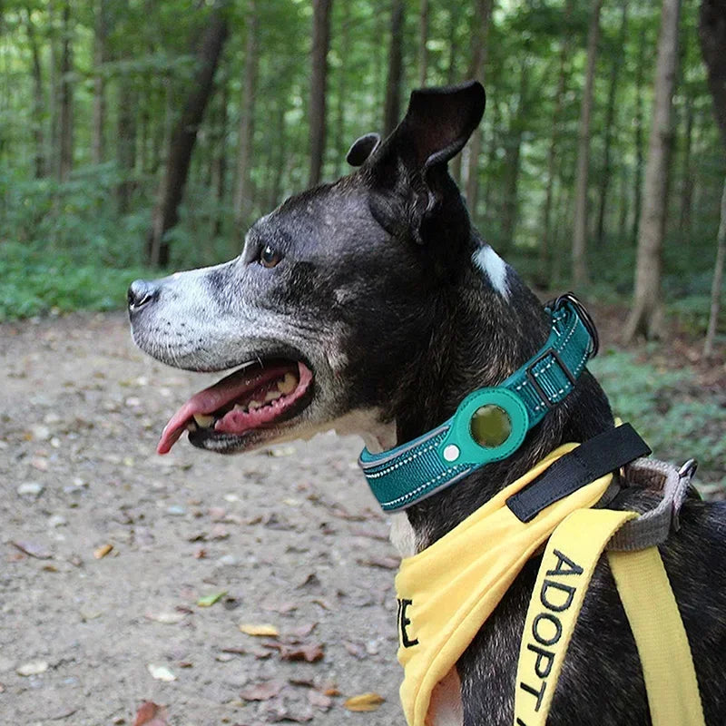 Dog Collar with AirTag Holder