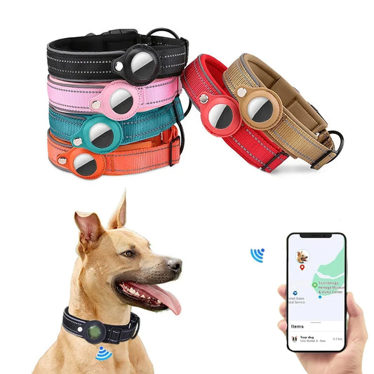 Dog Collar with AirTag Holder