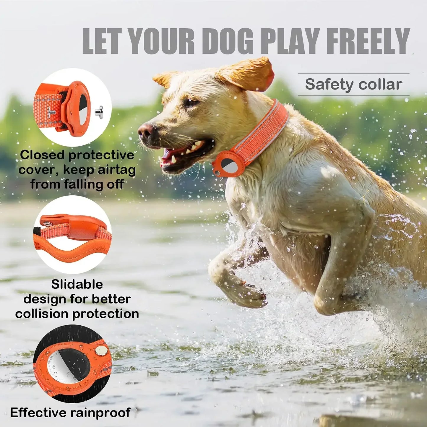 Dog Collar with AirTag Holder