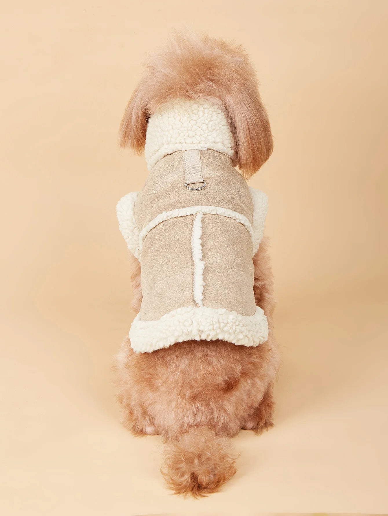 Winter Jacket for Small Dogs