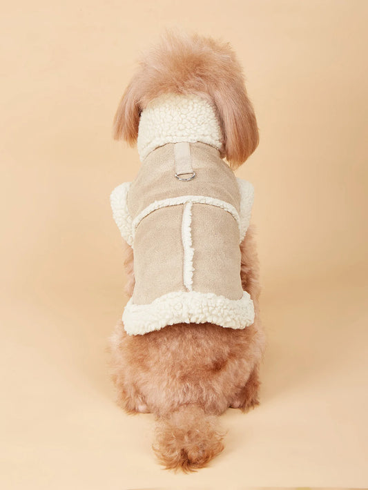 Winter Jacket for Small Dogs