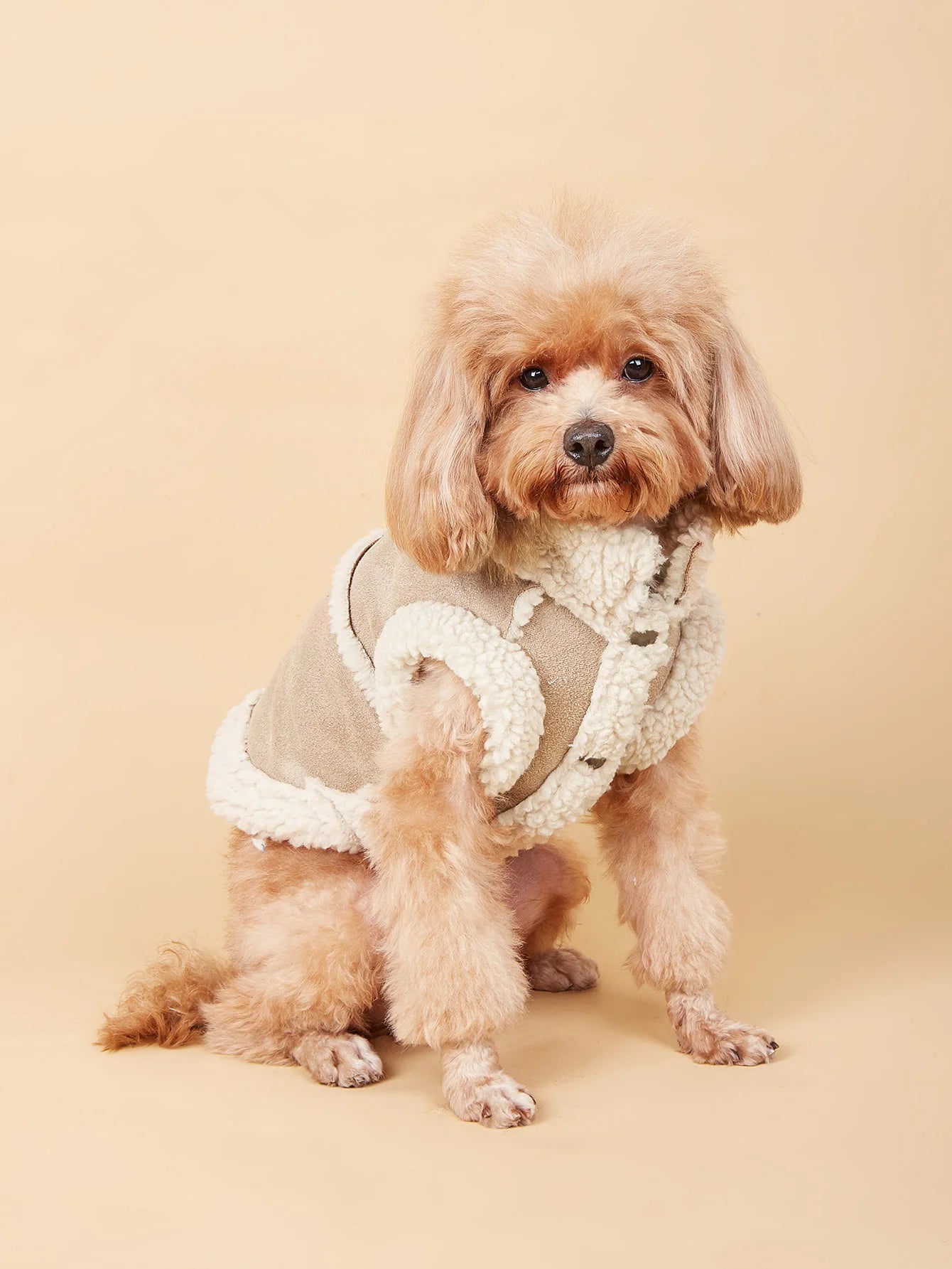 Winter Jacket for Small Dogs